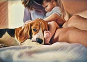 beagle dog resting head on baby's leg as they nap